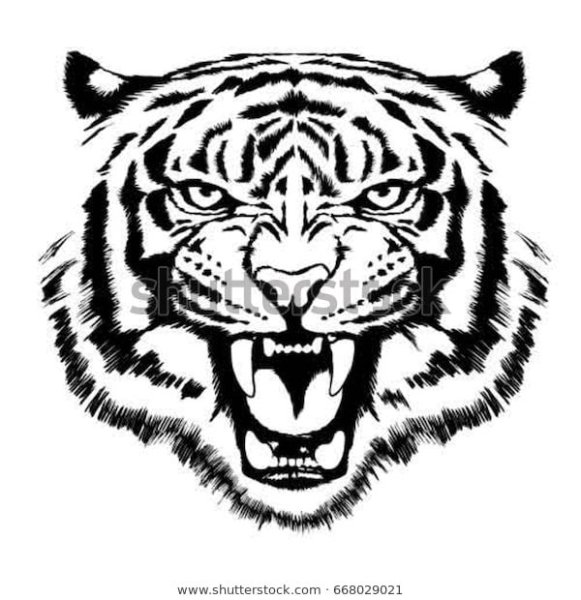 Оскал тигра вектор