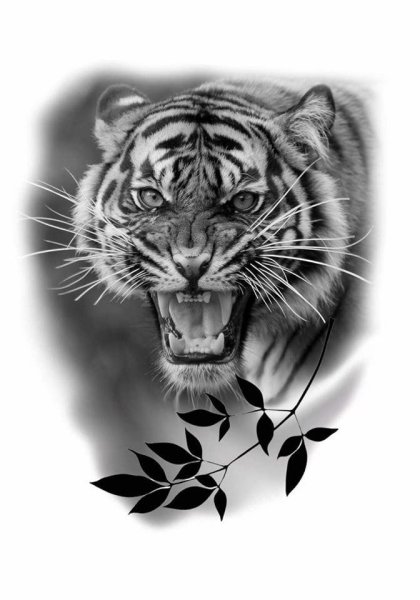 Тигр оскал эскиз реализм
