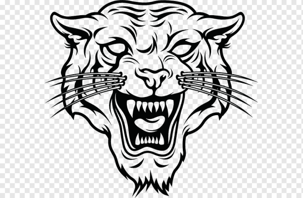 Голова тигра эскиз