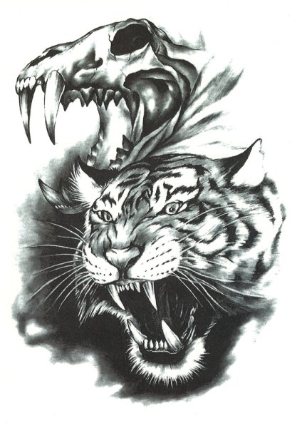 Оскал тигра тату эскиз