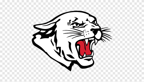 Голова Барса вектор