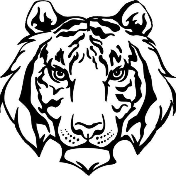 Морда тигра трафарет