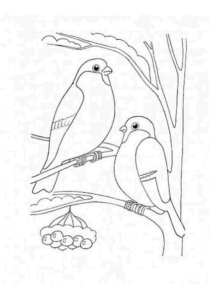 Зимующие птицы разукрашки для детей синица