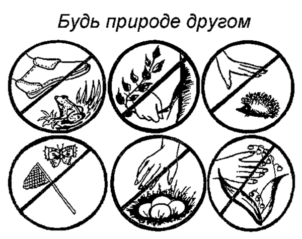 Раскраски про экологию земли