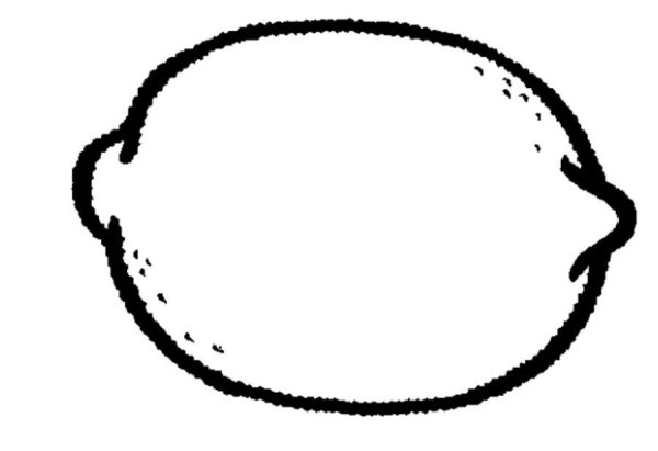 Раскраска лимон и апельсин