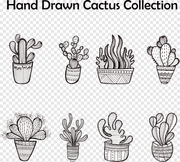 Векторный Кактус