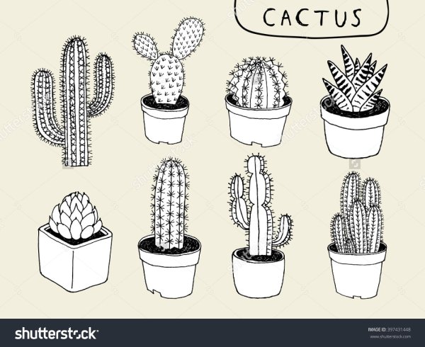 Кактус черной ручкой