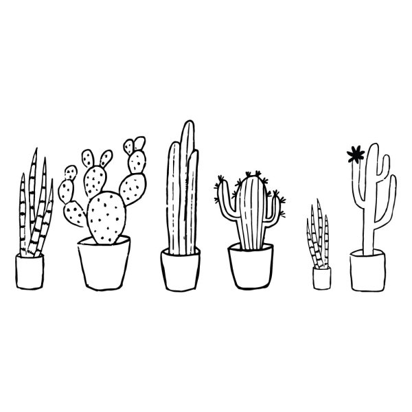 Кактус черно белый