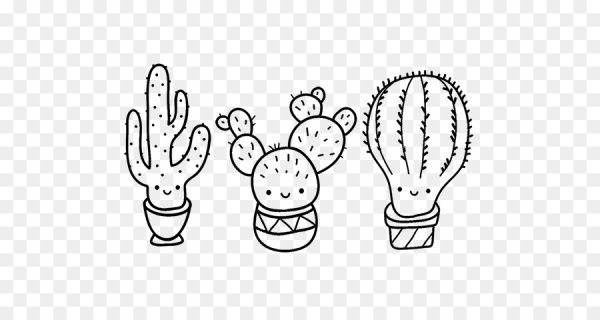 Раскраска комнатные растения Кактус