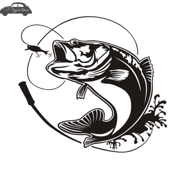 Векторные изображения рыбалка