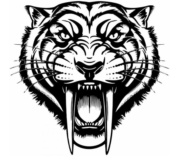 Саблезубый тигр тату эскиз