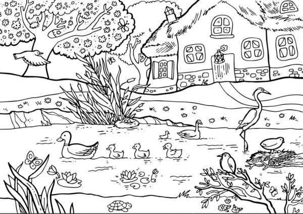 Раскраска пейзаж