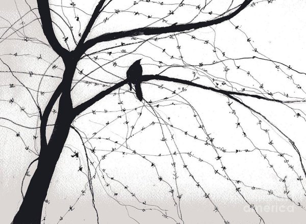 Весна рисунок черно белый