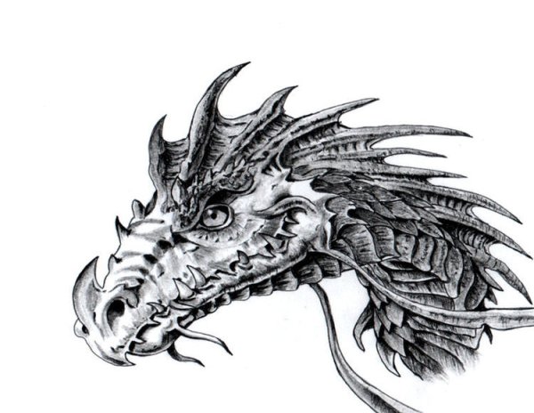Дракон черно белый