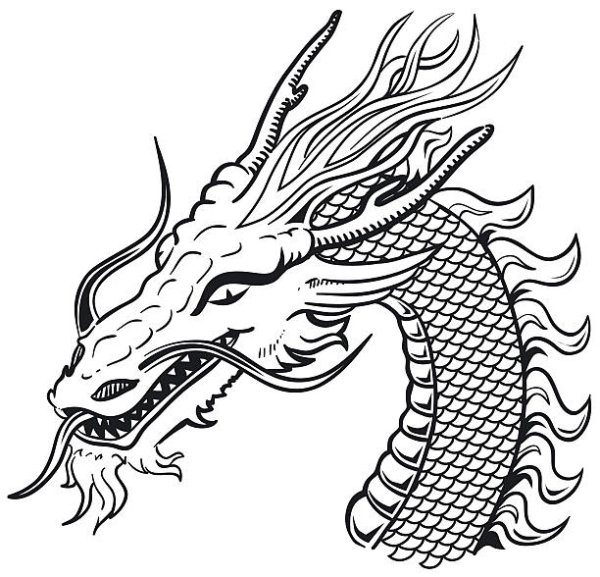 Голова китайского дракона в профиль