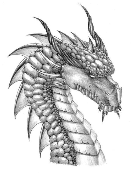 Голова белого дракона