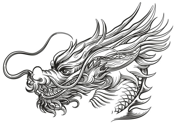 Тату контур голова дракона