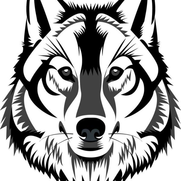Морда волка трайбл