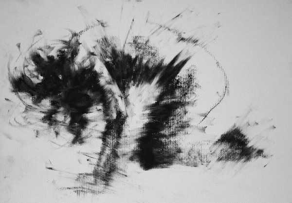 Пятно в графике