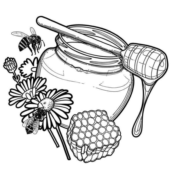 Мед раскраска