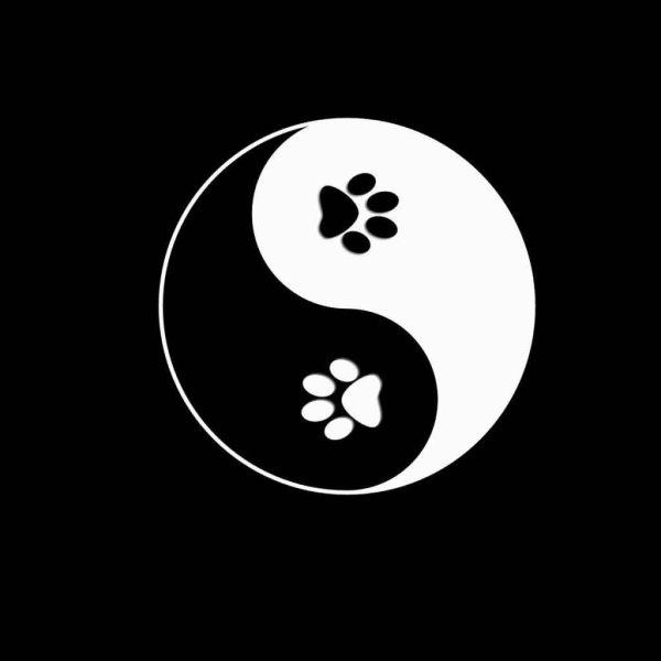 Инь Янь что черное а что белое