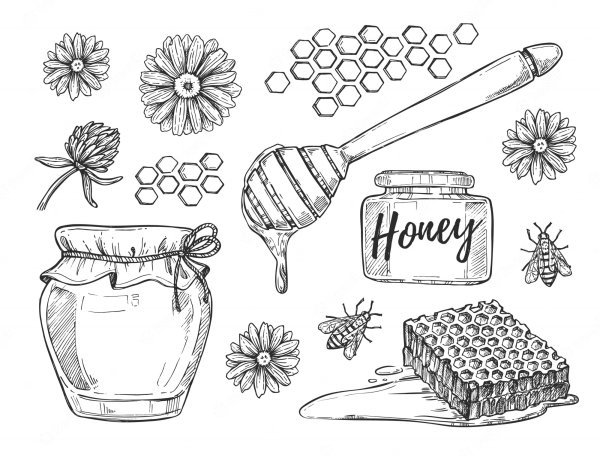 Банка меда скетч