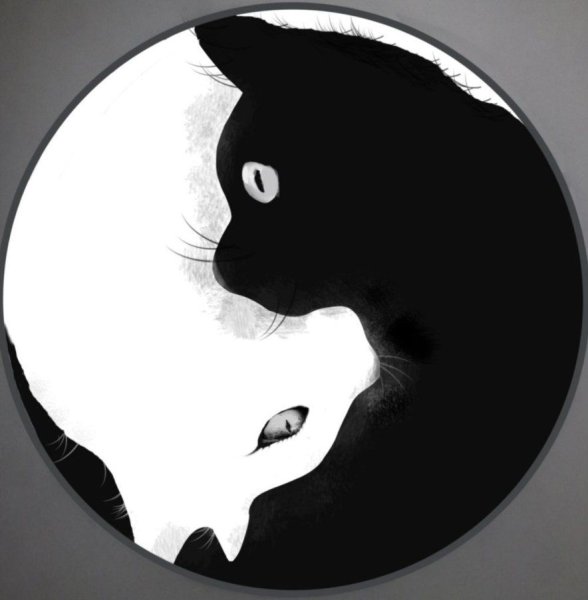 Черно белые аватарки