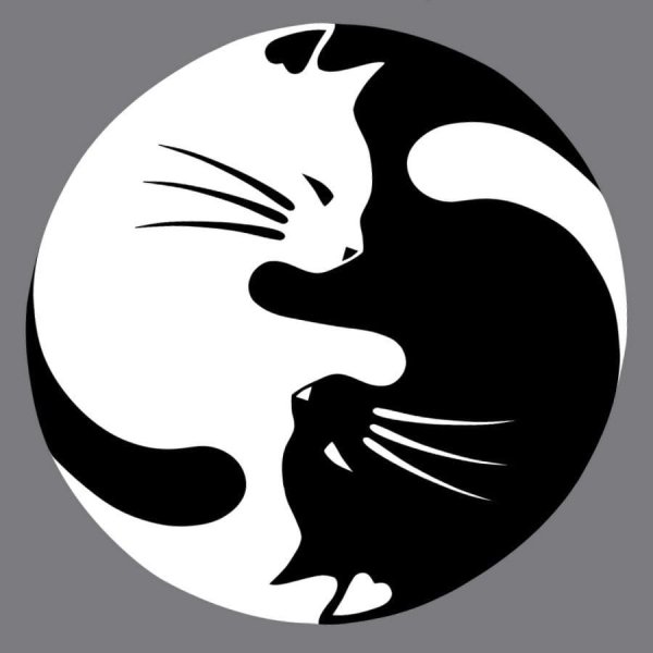 Инь Янь и Дэн