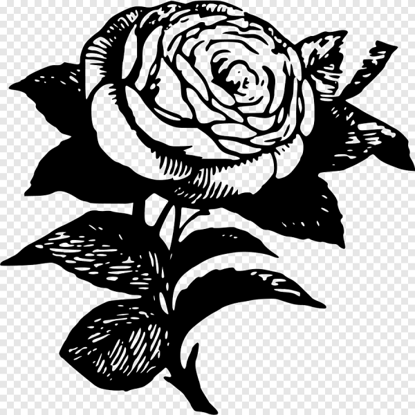 Черно-белый цветок