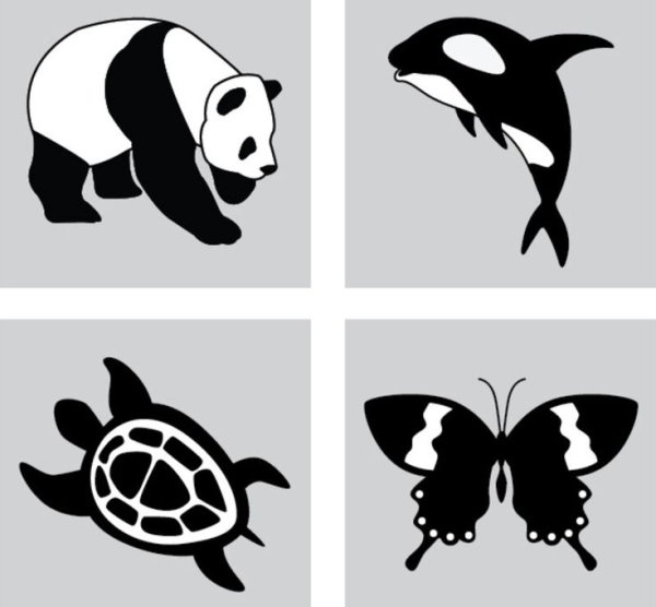 Черно-белые картинки для новорожденных