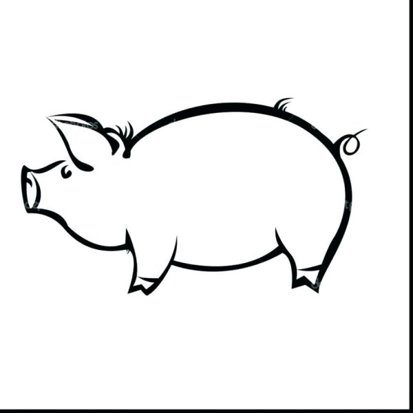 Поросенок рисунок
