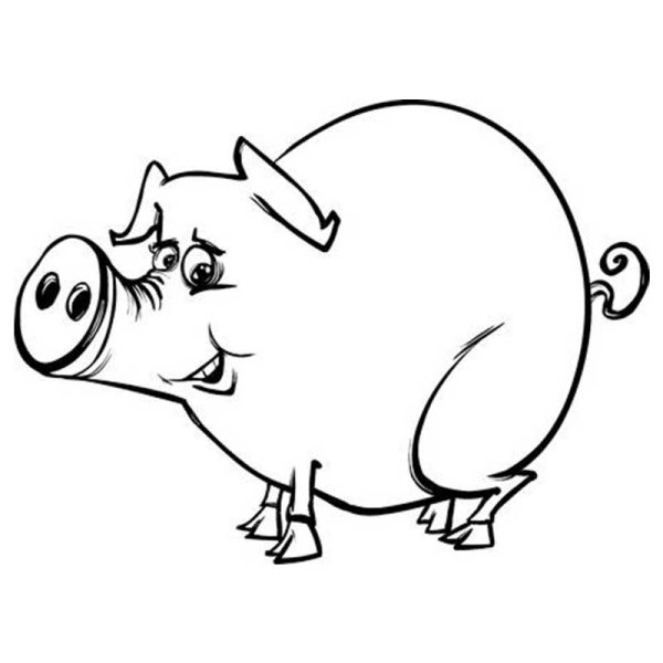 Поросенок черно белый