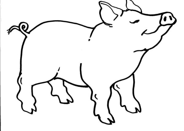 Поросенок раскраска для детей