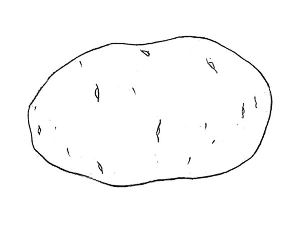 Картофель рисунок