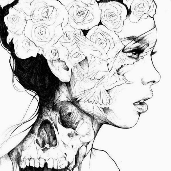 Картинки для срисовкислодные