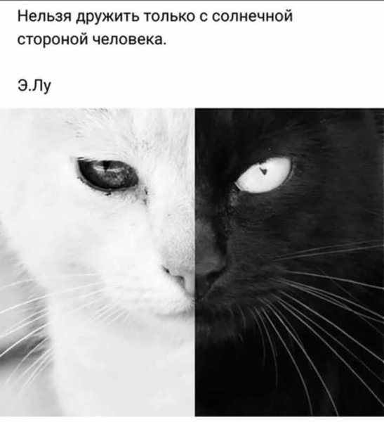 Черное белое