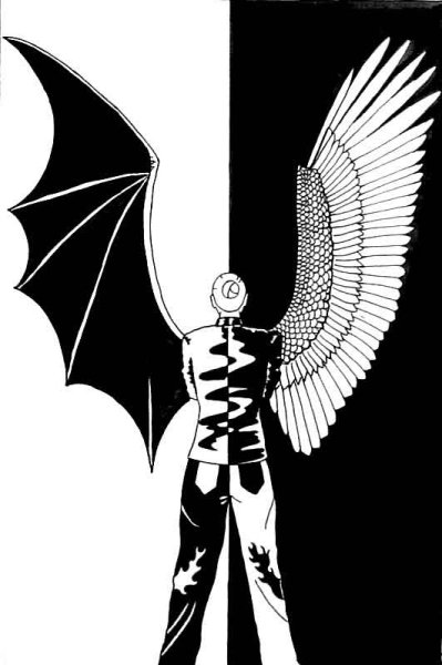 Наполовину ангел наполовину демон арт