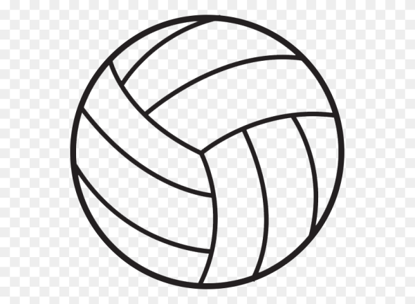 Волейбольный мяч черно белый