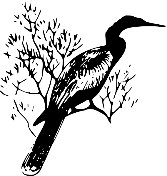 Птица векторный рисунок