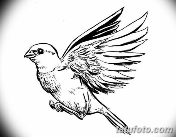 Птички эскиз