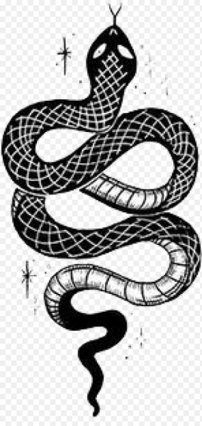 Эскиз змеи на белом фоне