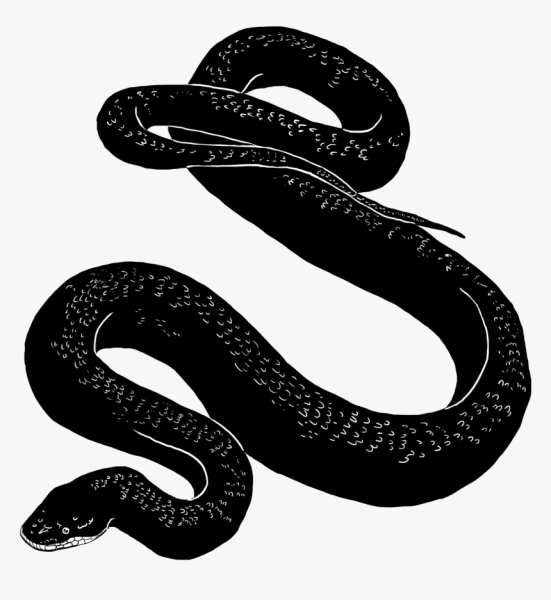 Змейка черно белая