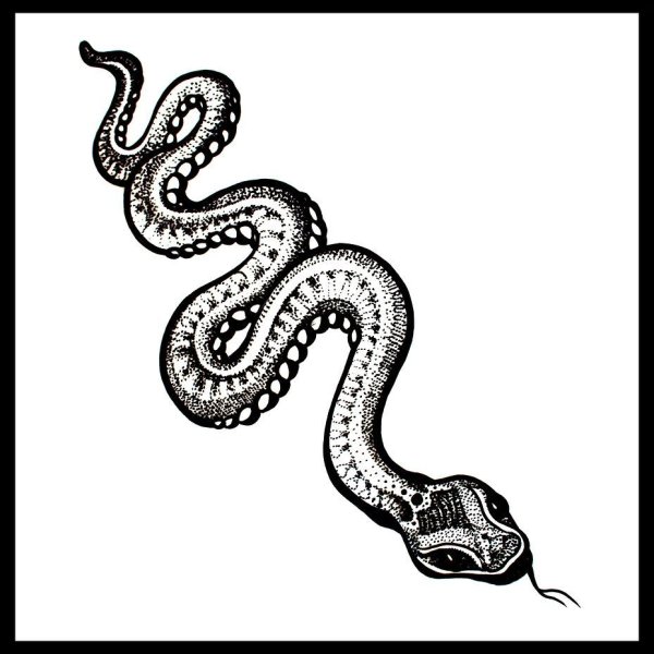 Тату змея чб