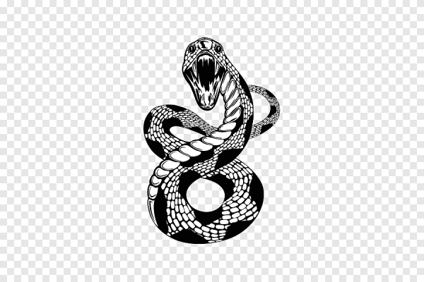 Тату змеи эскизы