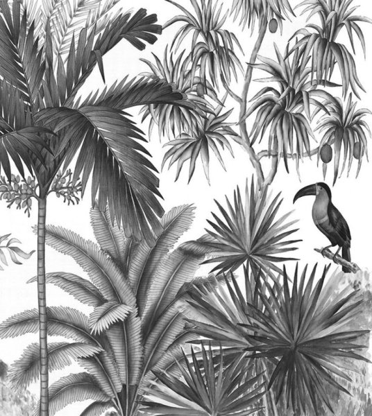 Тропический лес Графика