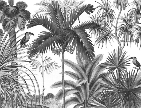 Тропические растения Графика