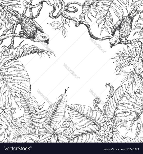 Лианы Графика