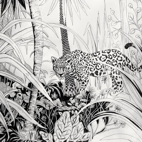 Джунгли эскиз