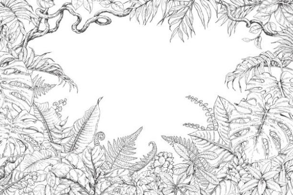 Тропические лианы Графика