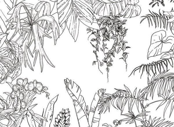 Тропические растения зарисовки